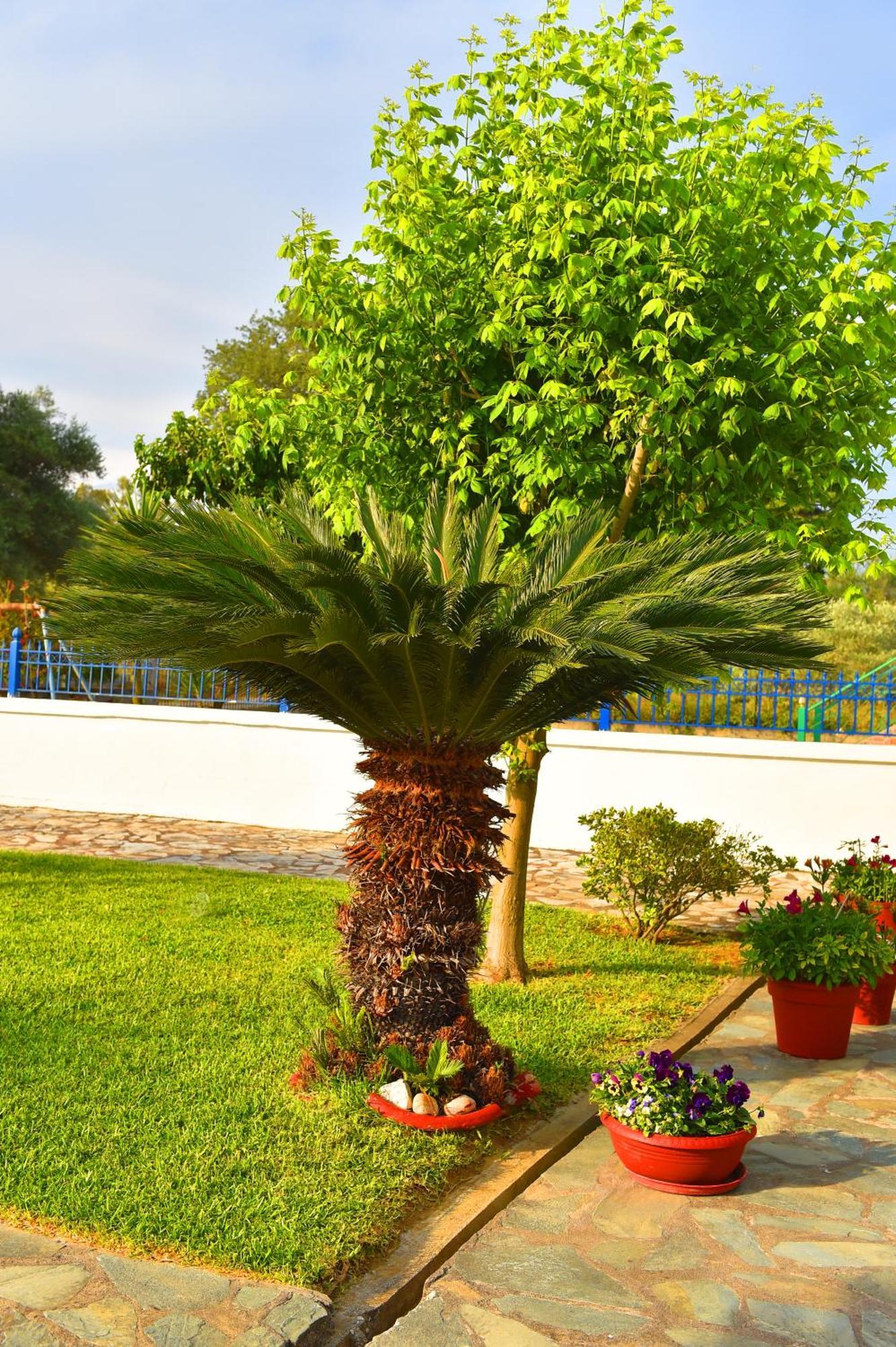 Villa Elpida Kanali  Extérieur photo