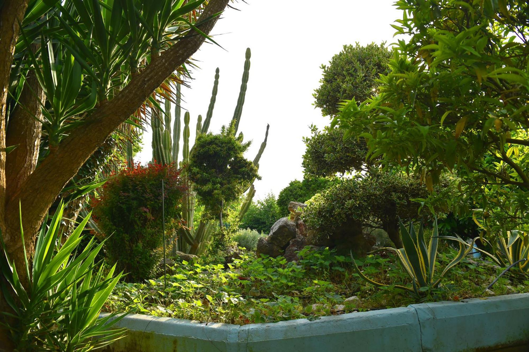 Villa Elpida Kanali  Extérieur photo